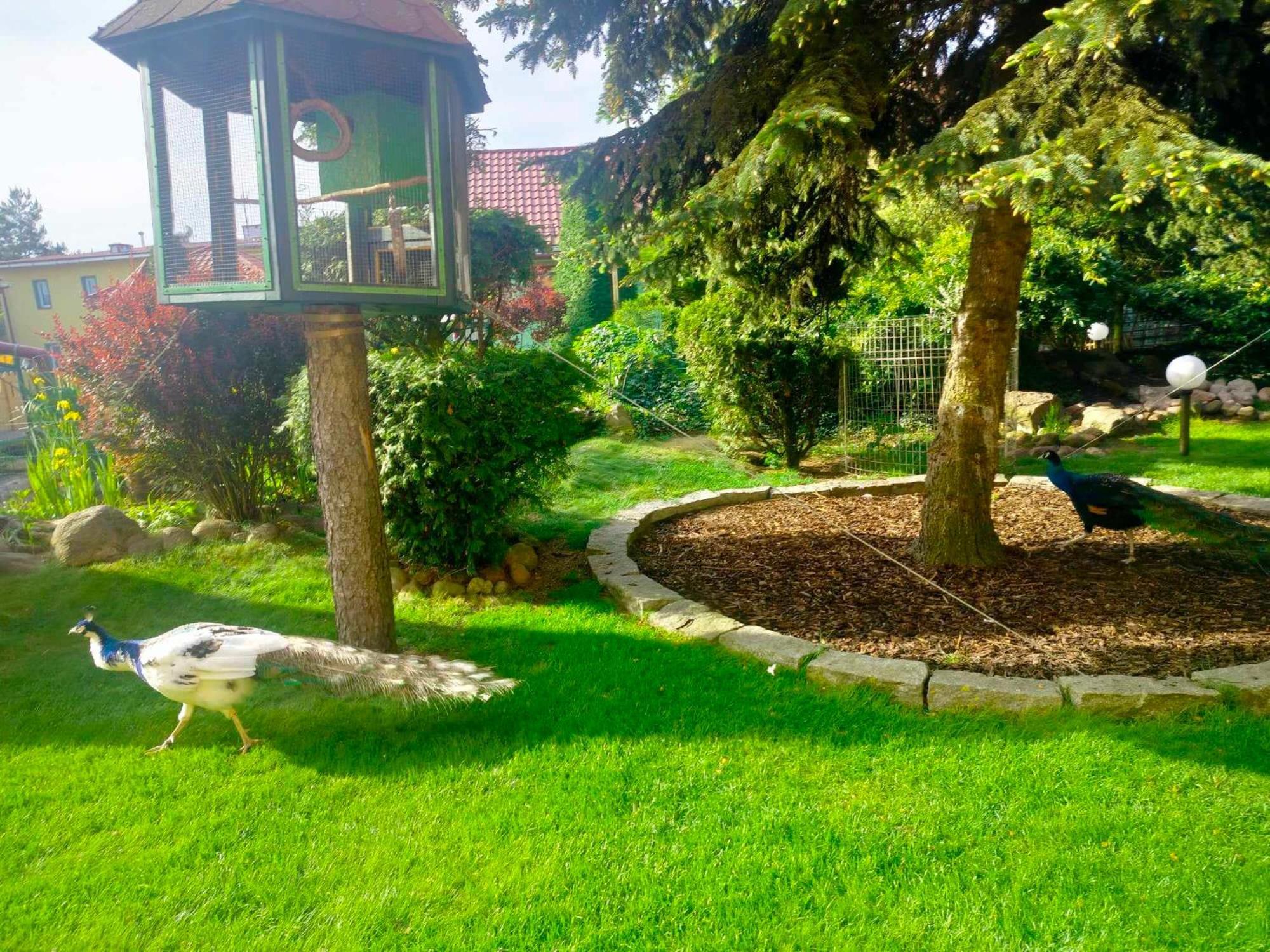 Noclegi I Restauracja Gracja Bełchatów 외부 사진